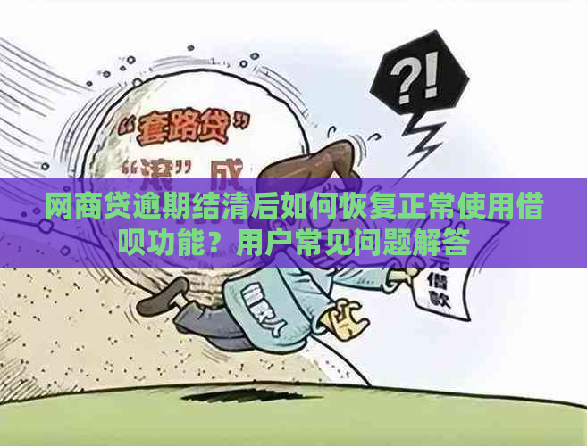 网商贷逾期结清后如何恢复正常使用借呗功能？用户常见问题解答