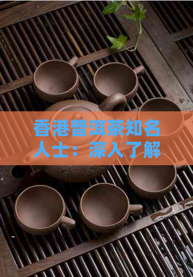 普洱茶知名人士：深入了解普洱茶的历、制作工艺、品鉴技巧及收藏价值