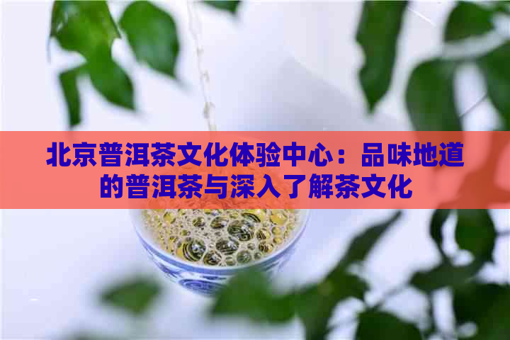 北京普洱茶文化体验中心：品味地道的普洱茶与深入了解茶文化