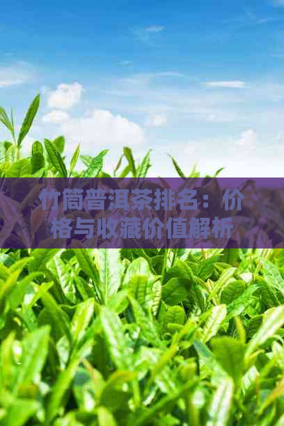 竹筒普洱茶排名：价格与收藏价值解析