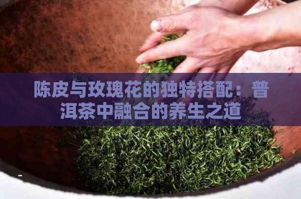 陈皮与玫瑰花的独特搭配：普洱茶中融合的养生之道