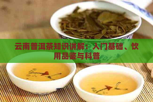 云南普洱茶知识讲解：入门基础、饮用品鉴与科普