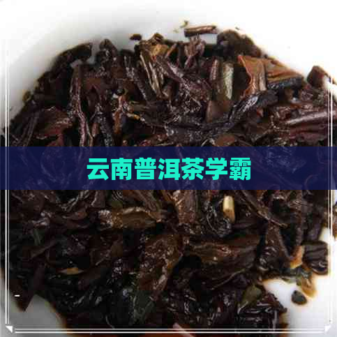 云南普洱茶学霸