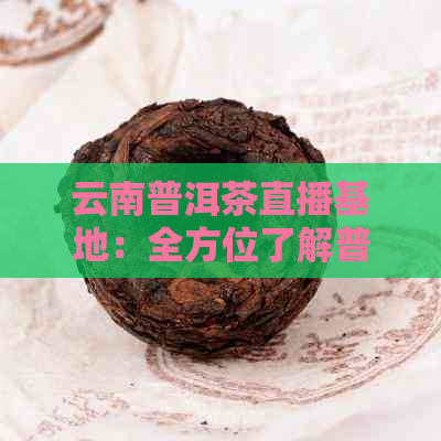 云南普洱茶直播基地：全方位了解普洱茶制作、品鉴与购买的直播现场