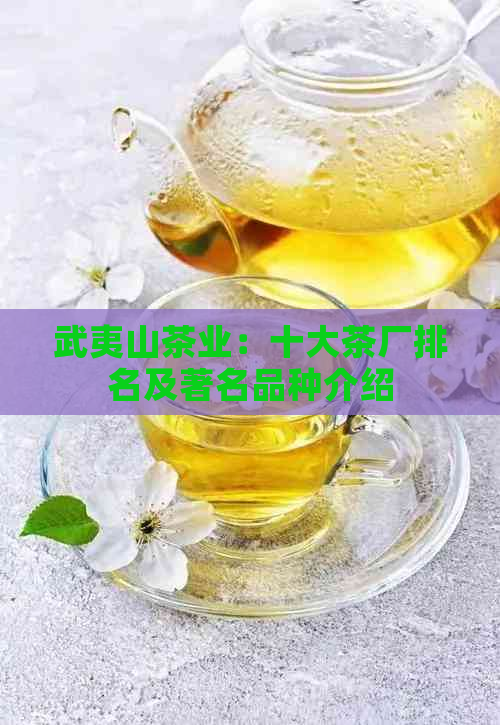 武夷山茶业：十大茶厂排名及著名品种介绍