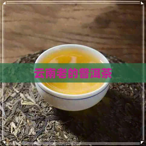 云南老的普洱茶