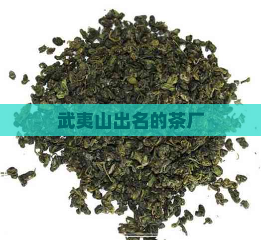 武夷山出名的茶厂