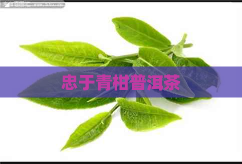 忠于青柑普洱茶