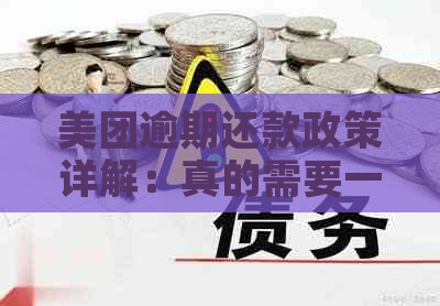 美团逾期还款政策详解：真的需要一次性还清吗？