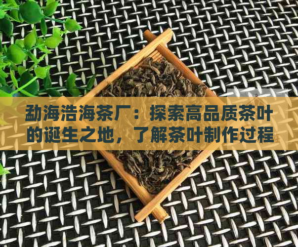 勐海浩海茶厂：探索高品质茶叶的诞生之地，了解茶叶制作过程及茶叶种类选择