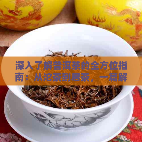 深入了解普洱茶的全方位指南：从沱茶到启茶，一篇解决所有疑问的文章