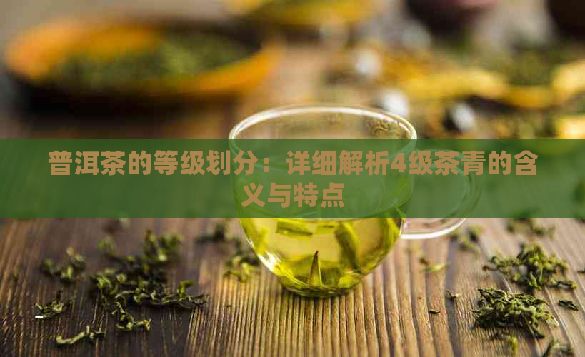 普洱茶的等级划分：详细解析4级茶青的含义与特点