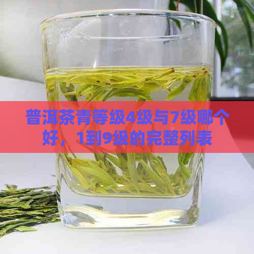 普洱茶青等级4级与7级哪个好，1到9级的完整列表