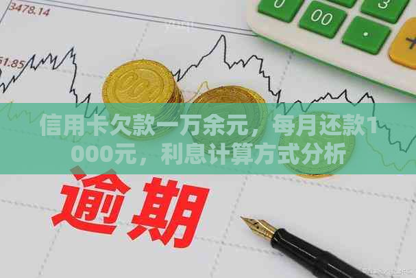 信用卡欠款一万余元，每月还款1000元，利息计算方式分析