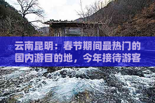 云南昆明：春节期间最热门的国内游目的地，今年接待游客万人，同比增长百家