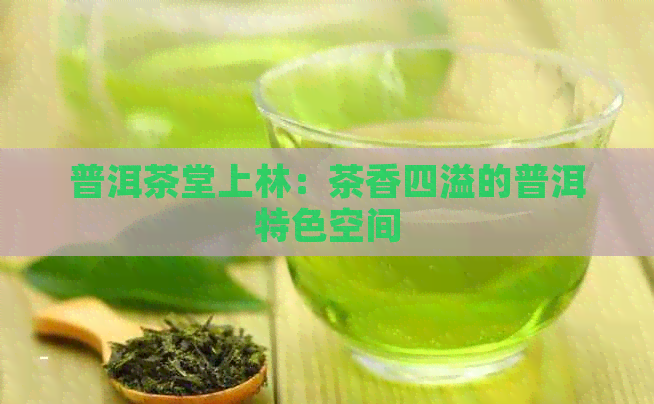 普洱茶堂上林：茶香四溢的普洱特色空间