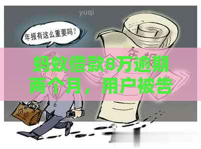 蚂蚁借款8万逾期两个月，用户被告知将走法律程序，如何解决？