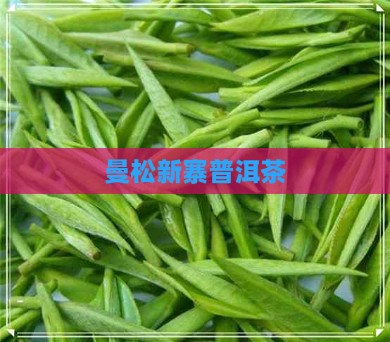 曼松新寨普洱茶