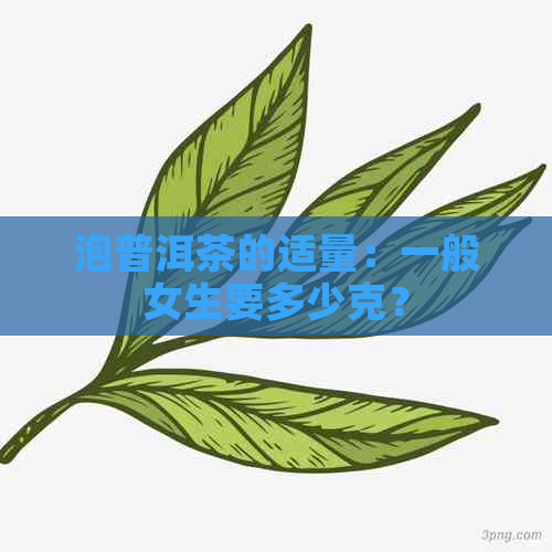 泡普洱茶的适量：一般女生要多少克？