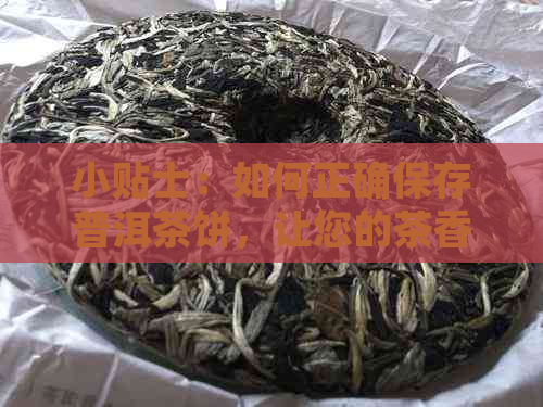 小贴士：如何正确保存普洱茶饼，让您的茶香持久不散