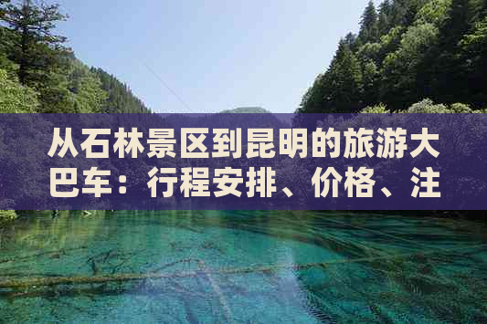 从石林景区到昆明的旅游大巴车：行程安排、价格、注意事项等一应俱全！