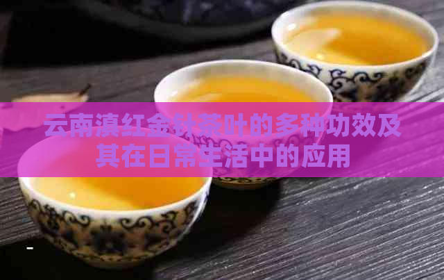 云南滇红金针茶叶的多种功效及其在日常生活中的应用