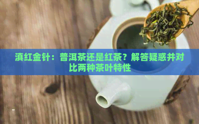 滇红金针：普洱茶还是红茶？解答疑惑并对比两种茶叶特性