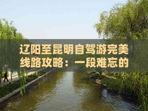 辽阳至昆明自驾游完美线路攻略：一段难忘的云南旅游经历