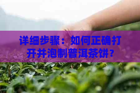 详细步骤：如何正确打开并泡制普洱茶饼？