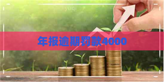 年报逾期罚款4000