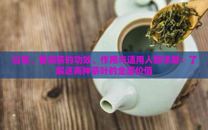 白茶、普洱茶的功效、作用与适用人群详解：了解这两种茶叶的全面价值