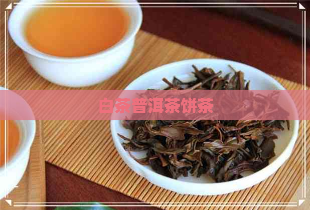 白茶普洱茶饼茶