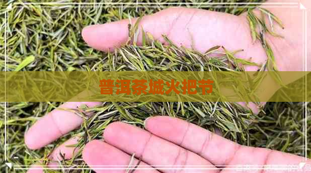 普洱茶城火把节