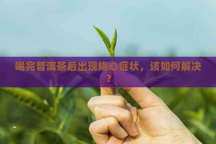 喝完普洱茶后出现烧心症状，该如何解决？