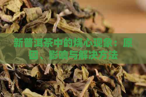 新普洱茶中的烧心现象：原因、影响与解决方法