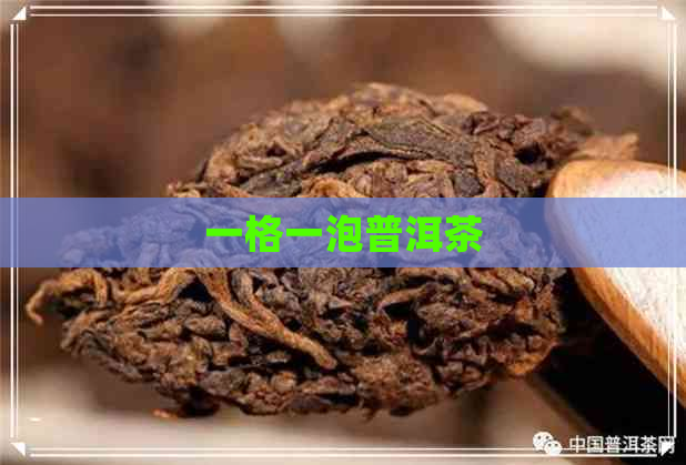 一格一泡普洱茶