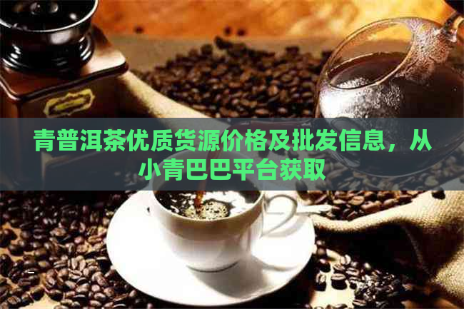 青普洱茶优质货源价格及批发信息，从小青巴巴平台获取