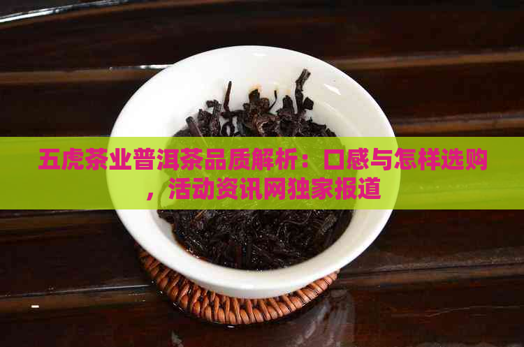 五虎茶业普洱茶品质解析：口感与怎样选购，活动资讯网独家报道