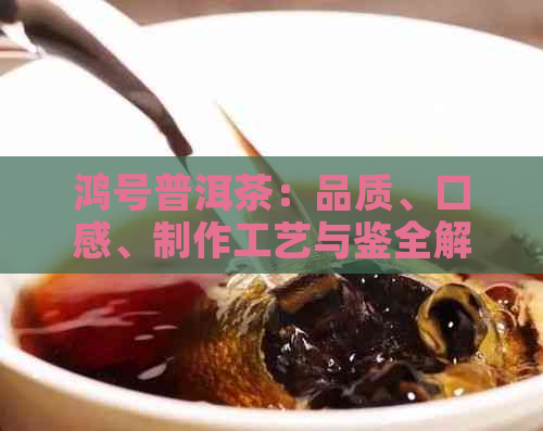 鸿号普洱茶：品质、口感、制作工艺与鉴全解析，助您成为普洱茶专家