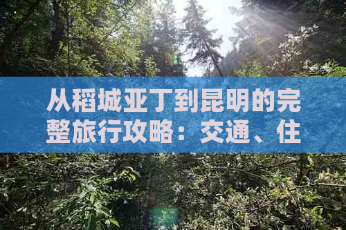 从稻城亚丁到昆明的完整旅行攻略：交通、住宿、景点及行程规划一文搞定