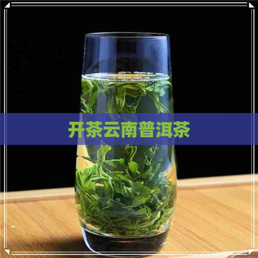 开茶云南普洱茶