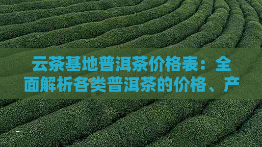 云茶基地普洱茶价格表：全面解析各类普洱茶的价格、产地、品质与选购指南