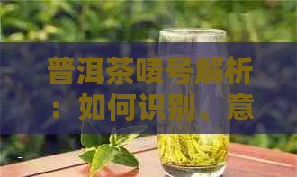 普洱茶唛号解析：如何识别、意义及分类，让你更全面了解普洱茶的品质与来源