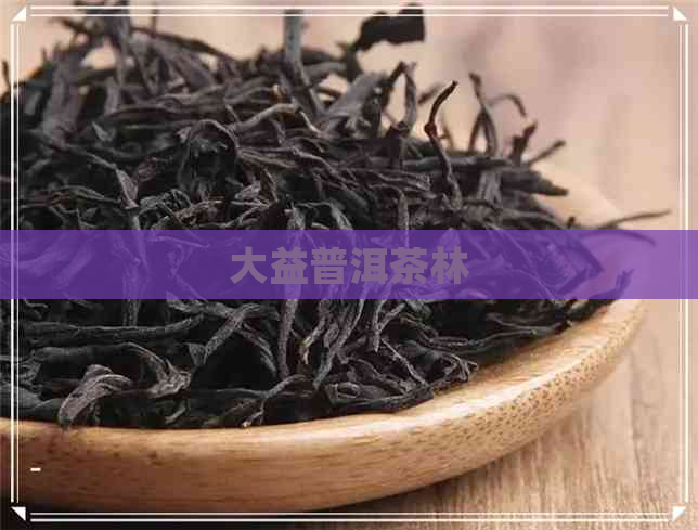 大益普洱茶林