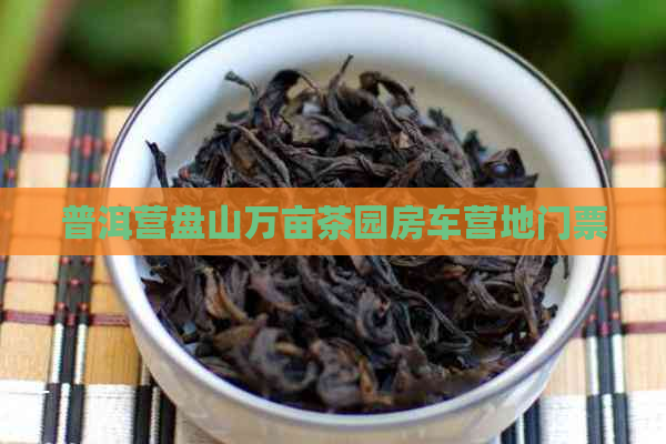 普洱营盘山万亩茶园房车营地门票