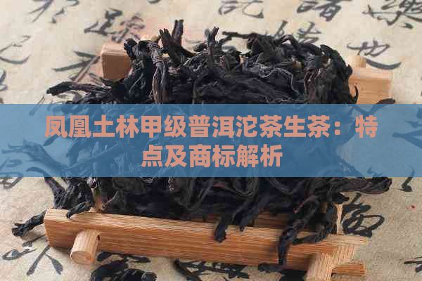 凤凰土林甲级普洱沱茶生茶：特点及商标解析