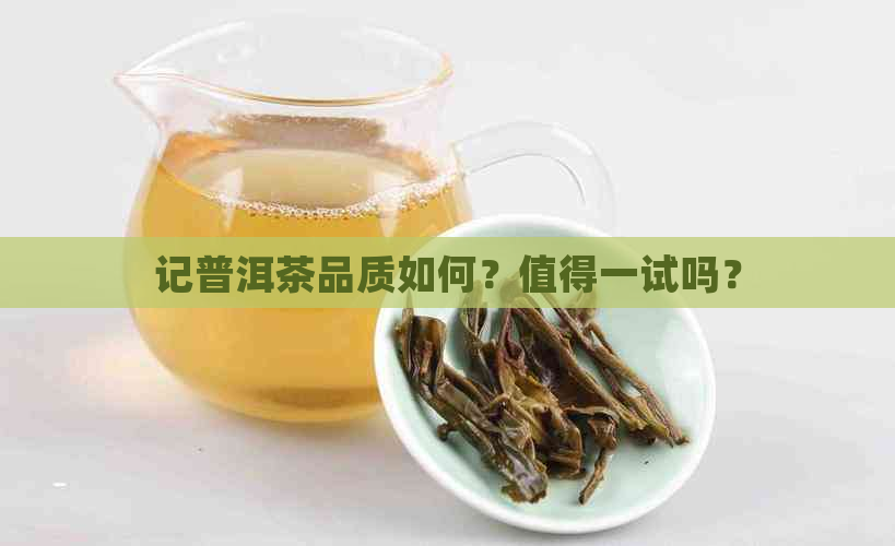 记普洱茶品质如何？值得一试吗？