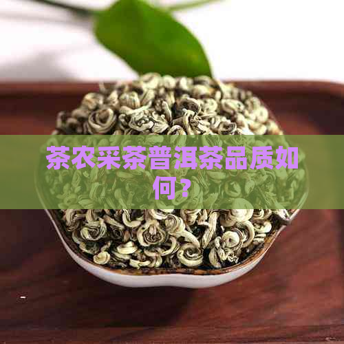 茶农采茶普洱茶品质如何？