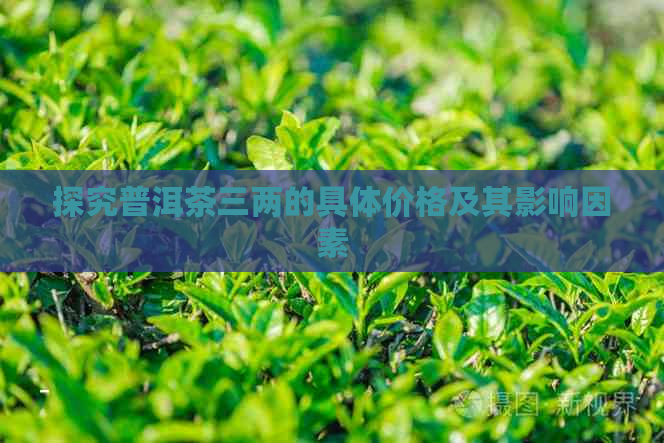 探究普洱茶三两的具体价格及其影响因素