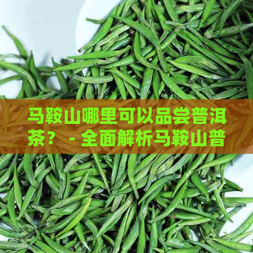 马鞍山哪里可以品尝普洱茶？ - 全面解析马鞍山普洱茶文化体验地